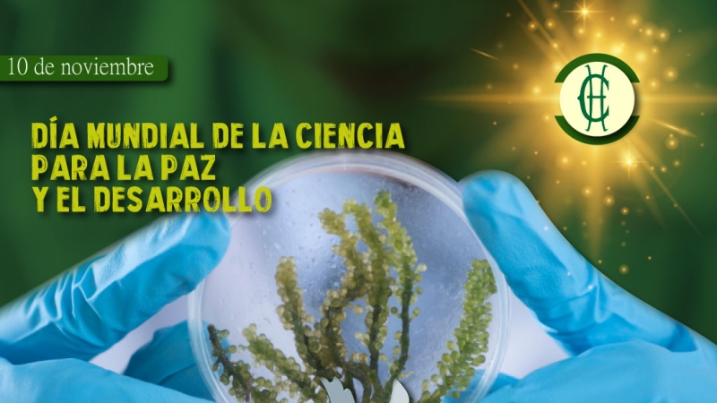 Día Mundial de la Ciencia para la Paz y el Desarrollo 10 de noviembre