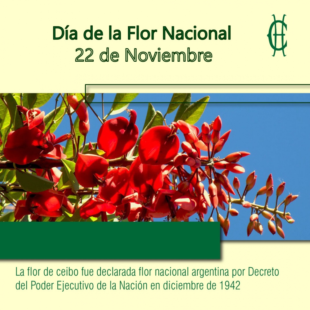 22 de Noviembre Día de la Flor Nacional